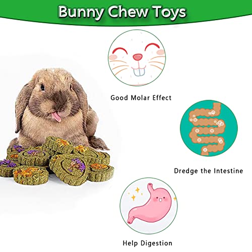 FIPASEN Rabbit Chew Toys for Teeth, 18PCS Natural Timothy Hay Chew Toy, Improve Dental Health for Bunny/Chinchilla/Guinea Pig/Hamsters/Holland Lop, Small Rodent Pet Molar Teeth Treats Toys - Image 6
