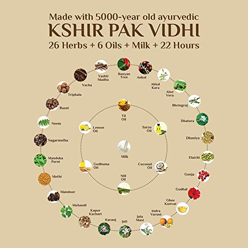 SESA Ayurvedic Strong Roots Hair Care Combo (Oil and Shampoo + Conditioner) | Complete Hair Care Regimen | Hair Oil - 100ml & Shampoo + Conditoner... - Image 2