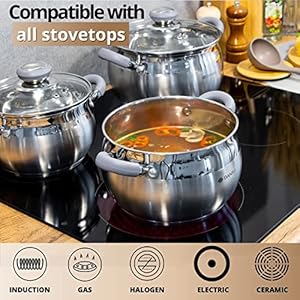 Daniks Modern Stainless Steel Stock Pot with Glass Lid – Induction 7 Quart, Dishwasher Safe, Heatproof Handles, For Soup, Pasta, Stew, Silver Daniks Modern Stainless Steel Stock Pot with Glass Lid–Induction 7 Quart Dishwasher Safe Heatproof Handles For Soup Pasta Stew Silver