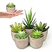 Abree Lot de 5 Pots de Plantes Grises artificielles et Faux Cactus Assortis pour décoration de Maison ou de Bureau