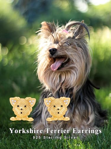 Boucles d'oreilles chien plaqué or : bijou Yorkshire de haute qualité