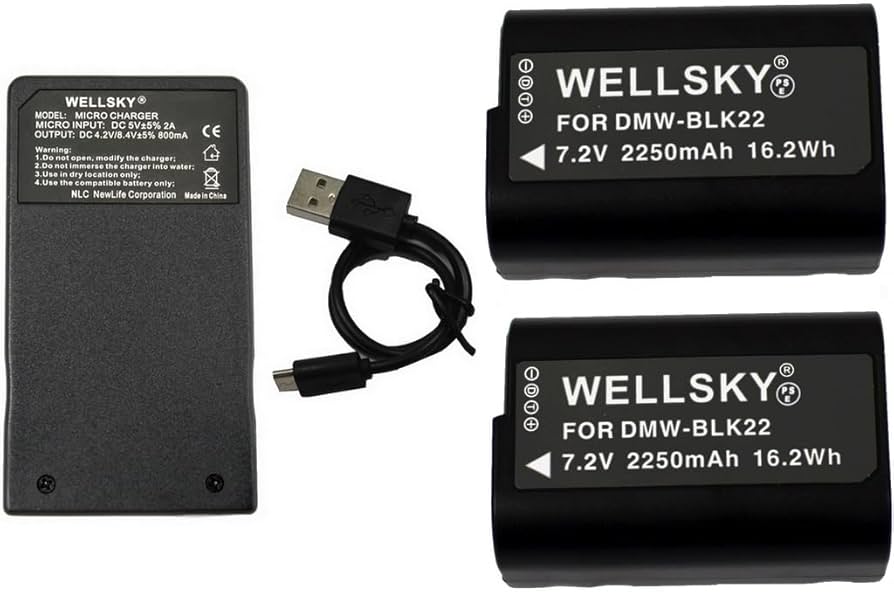 Amazon.co.jp: WELLSKY DMW-BLK22 互換バッテリー 2個 + DMW-BTC15 超