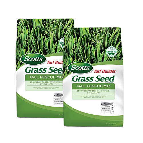 10 Best tall fescue grass seed Reviews in (2022) Best