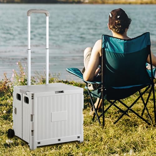 Caisse roulante pliable avec roues pour courses et appartement - 4