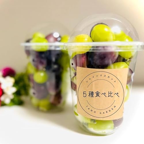 シャインマスカットと他4種類のぶどう(粒)約1.0kg(250g×4P) ※離島への配送不可 ※2025年9月中旬〜10月下旬頃に順次発送予定