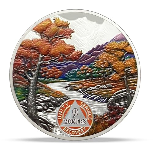 Image of Imasoner 9 Month Sobriety Coin, Autumn Seasons AA Medallion Recovery Chip