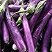 Produktbild Haloppe 50 Stück Auberginen-Gemüse-Samen für die Bepflanzung des Hausgartens, Auberginen-Samen-Mini-Natursamen-Frischgemüse-Samen für den Balkon Lila lange Aubergine