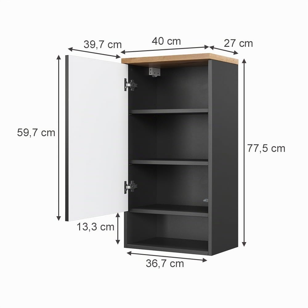 Vicco Armoire Murale Eden, Anthracite, 40x77.5cm | pour montage mural avec aménagement intérieur modulable