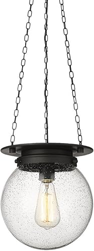 Z-Lite 7506P9-MB Calhoun - Colgante de 1 luz, 60 vatios, negro mate