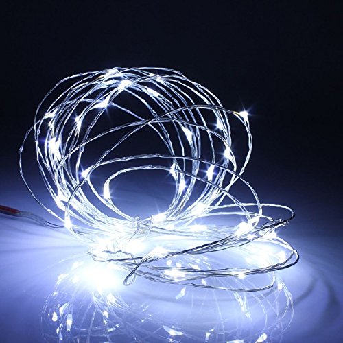 RVS White Non Waterproof Sliver Wire 5M 50 LED String Light Christmas