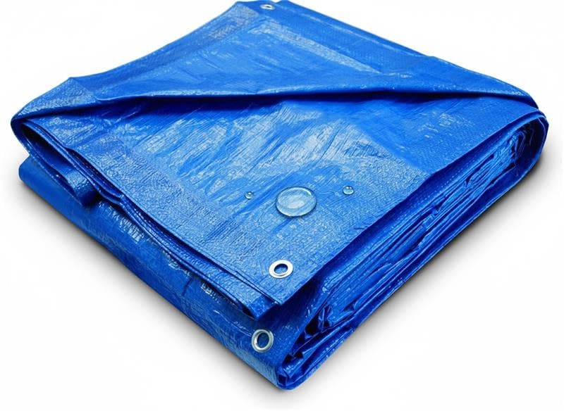 Blue Waterproof Tarpaulin – Heavy Duty Tarp Sheet with Reinforced Edges & Rust-Free Eyelets – UV Resistant ground sheets Multipurpose Cover for Camping, Garden, Car & Outdoor (6' x 9' feet)