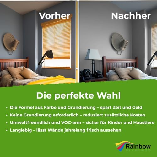 THE ONE All-In-One Farbe & Grundierung - Hellgrau, 250 ml | Formel für mehrere Oberflächen mit 1 Anstrich | Einfache Innen- und Außendekoration für Wände, Böden und Möbel in Haus und Garten