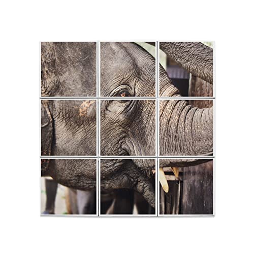 Carreaux Céramique Décoratif Éléphant mural 45,6 x 45,6 cm tableau faïence