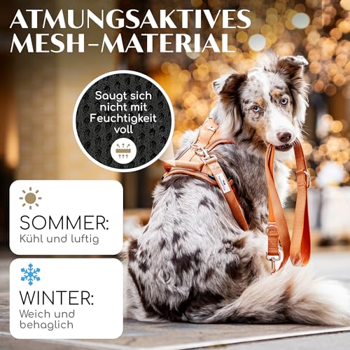 FREUDENTIER Hundegeschirr mit Mesh-Polsterung - Höchster Komfort, bombenfester Sitz & maximale Sicherheit - Anti-Zug-Frontring - Brustgeschirr für große, mittelgroße und kleine Hunde (Orange, L)