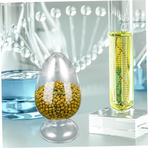 PRETYZOOM 2 Pcs Conical Glass Sample Bottles Leakproof Laboratory Glassware for Specimen Display for Scientific Experiments and Storage