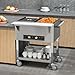 VEVOR 2-Pan Commercial Food Warmer, 2 x 20.6QT Electric Steam Table, 1000W Professional Buffet Catering Food Warmer with 4 Wheels (2 Lockable), Food Grade Stainless Steel Server for Party Restaurant
