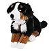 Leosco Berner Sennenhund mit Geschirr, liegend 62 cm, Plüschhund, Plüschtier, Kuscheltier Teddys Rothenburg by Uni-Toys