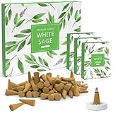 Conos de Incienso Salvia Blanca 120 pcs, Conos de Incienso Natural, con Soporte para Inciens, Muy Adecuado para Yoga, Meditación, Relajación, Oraciones