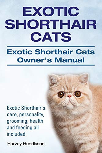 Exotic Shorthair Cats. Exotic Shorthair Cats Owner's Manual. Exotic Shorthair's care, personality, grooming, health and feeding all included. (Spanish Edition)