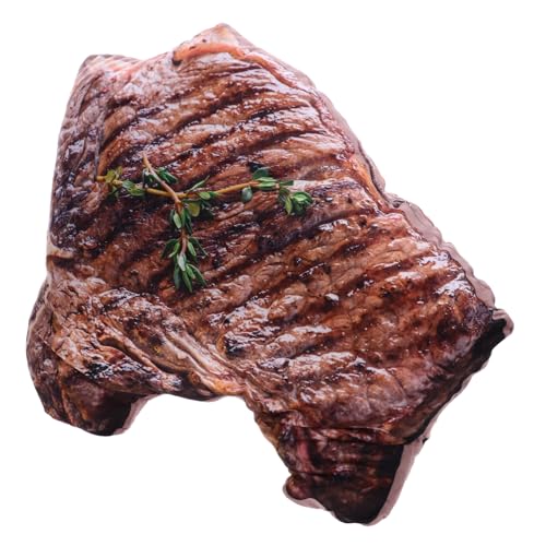 Oreiller de steak peluche VANZACK : coussin de simulation doux pour maison