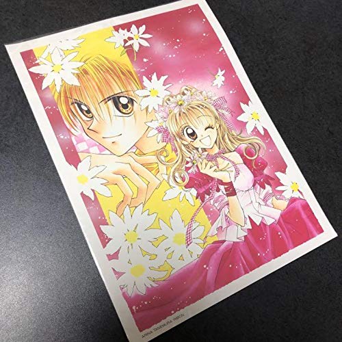 種村有菜　りぼん　付録　ふろく　りぼん夏まつり　グッズ　神風怪盗ジャンヌ 種村有菜 りぼん 付録 ふろく りぼん夏まつり グッズ 神風怪盗ジャンヌ