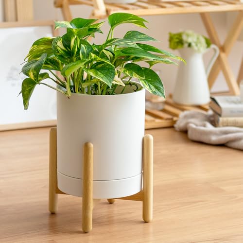 エア・リゾーム プランター 鉢 おしゃれ 植木鉢 観葉植物 受け皿一体型 脚付き フラワーポット Rean(レアン) (ホワイト, 1個単体)