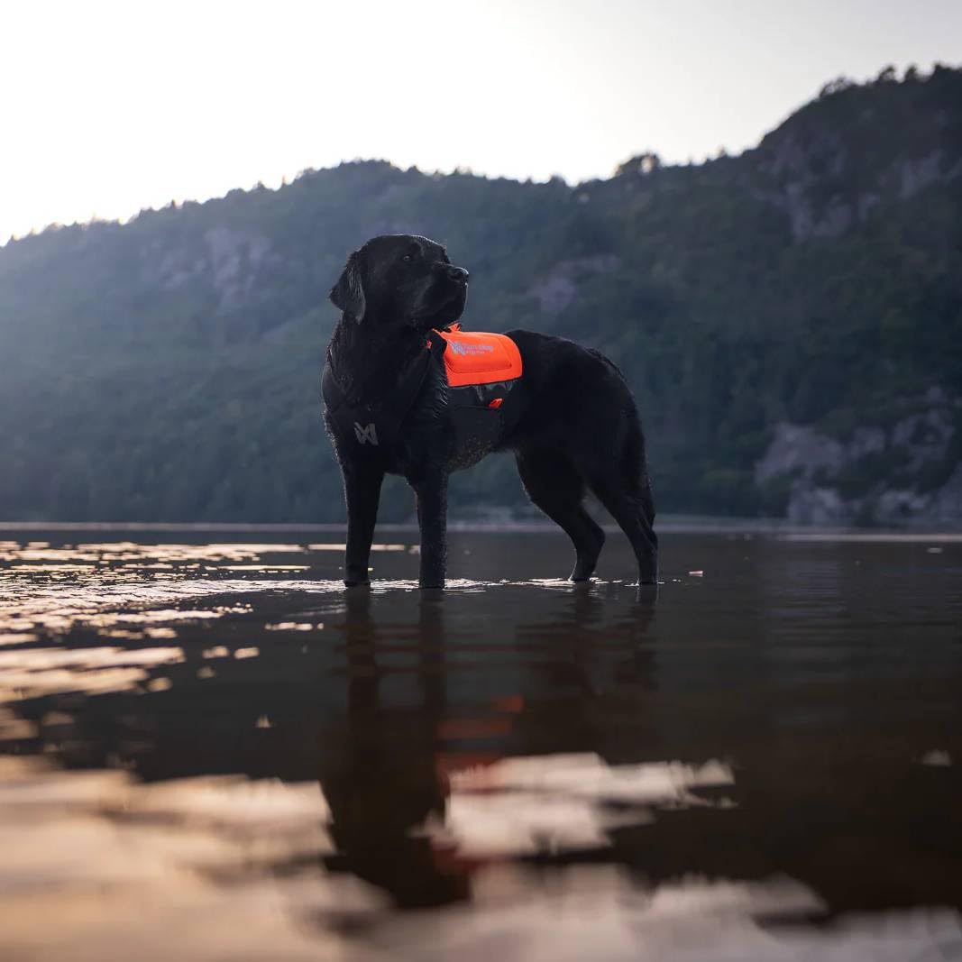 Non-stop dogwear Protector Neopren Hundeweste, Orange/Schwarz, Wasserdicht, Mit Reflektierenden Streifen, Klettverschluss, Für Outdoor und Sicherheit, XS-XL (S)