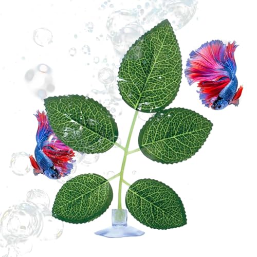 Generisch Betta-Bett – 1,5 x 15 cm große Betta-Fischblatt-Unterlage mit Saugnapf | Realistisches Ruhebett für den Laichraum von, zum Spielen von Guppys und als Anreicherungsgehege zum Schlafen