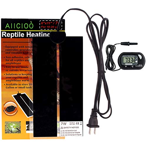 Hermit Crab Heater with Temperature Control Live Hermit Crab