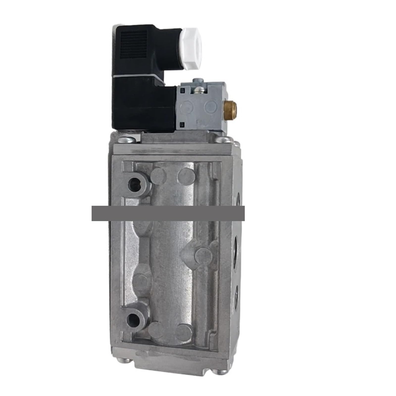 LEOTNNDQ 4F310-08 DC24V AC110V AC220V Solenoid Valve