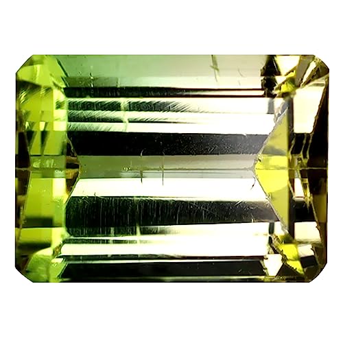 Tourmaline bicolore 3.10 ct octogone non chauffée d'exception