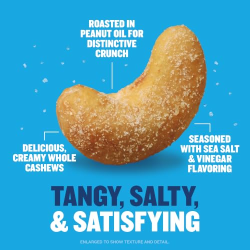 Image of PLANTERS Salt & Vinegar Cashews, Plant Based Protein, 5 Oz (1 Ct) | Roasted Cashews. Flavored Cashews. Snacks for Adults. Resealable Bag. Plant Based Protein Snack. Party Mix