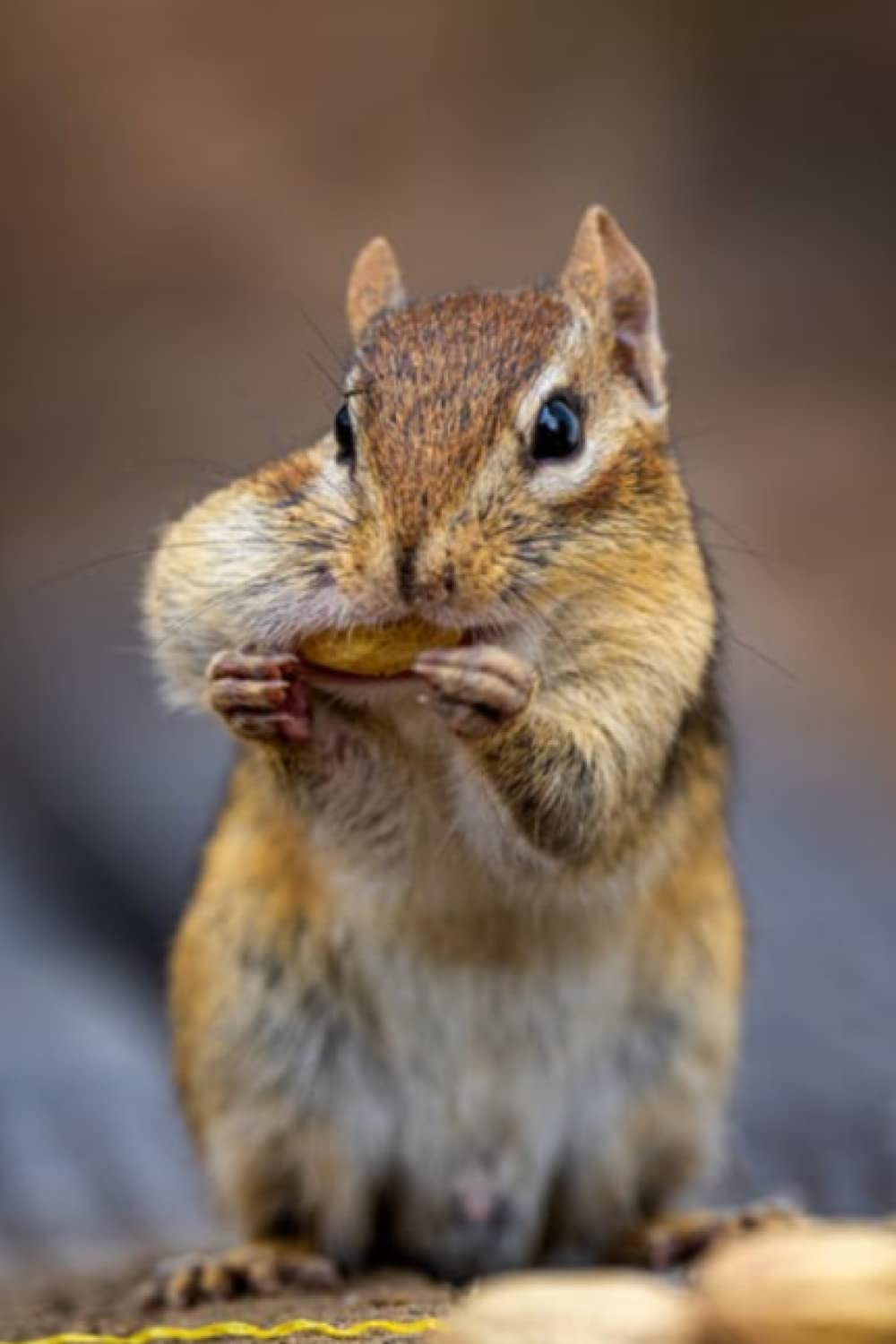 Yaxta dengiz erotikasi Jinsiy aloqa va Yuliya Mixalkova onlayn