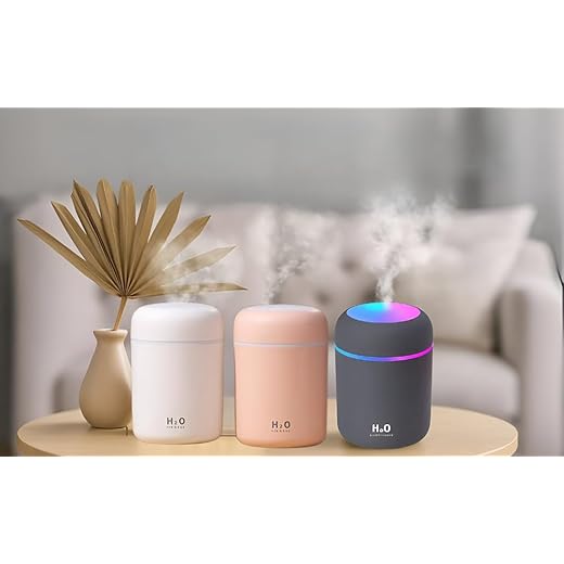 Desidiya 300ml Mini Air Humidifier Compact Electric Aroma D