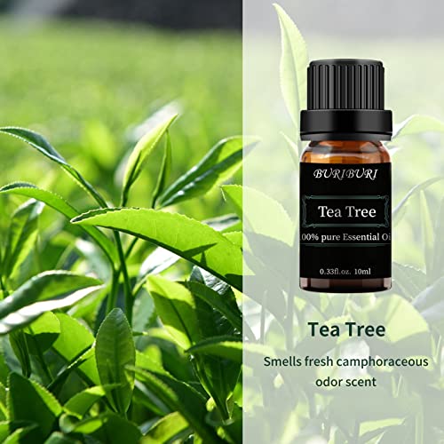 Image of BURIBURI Tea Tree Essential Oil, 100% Pure, Undiluted, Natural Tea Tree Oil Aromatherapy Essential Oils 10ml for Diffuser, Massage