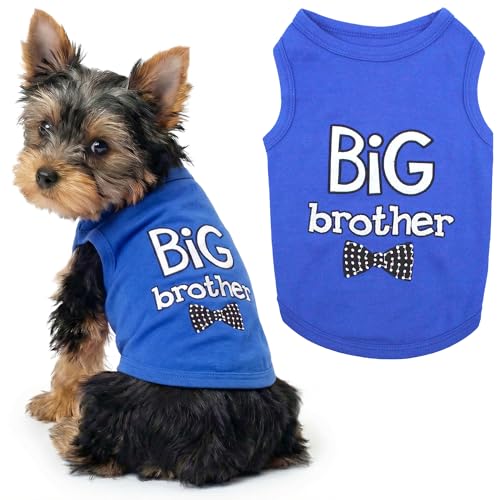 Big Brother