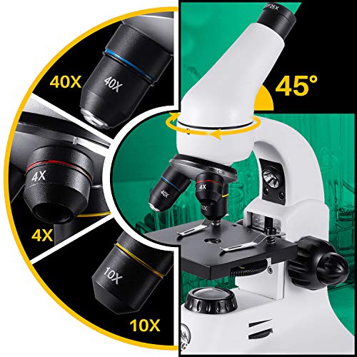 BEBANG 200X-2000X Microscope, All-Metal Optical Glass Lenses, Coarse and Fine Focusing, 25X Widefield Eyepiece and Complete Accessories Kit - Thumbnail 3