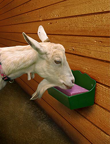 Little Giant 957833 ® Livestock Salt Block Feeder thumb #2