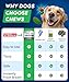 STRELLALAB Advanced Dog Dental Chews & Breath Freshener, Dog Teeth Cleaning, Bad Breath & Tartar and Plaque Off Remover for Dogs, Pet Oral Care, Pro Perio Support Lab Co Bright Formula - 90 Treats