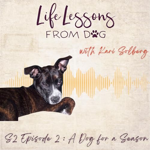 A Dog for a Season &mdash; Remembering Bailey cover art