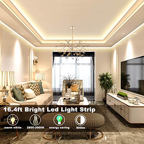 Tira Led Blanca Cálida Dimmable con Control Remoto RF miniatura 3