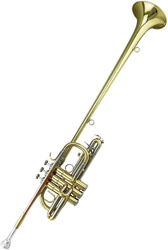 Trumpet Sets Tone Bb Brass Body Herald Trumpet