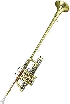 Trumpet Sets Tone Bb Brass Body Herald Trumpet