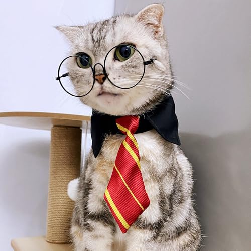 Disfraz de Brujo para Mascotas Pequeñas miniatura 5
