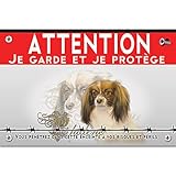 Panneau plastique Attention au chien phalène