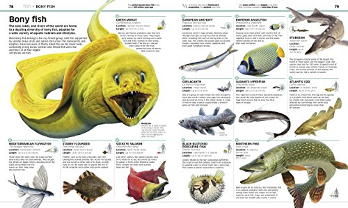 Animal! (DK Knowledge Encyclopedias) - Image 7