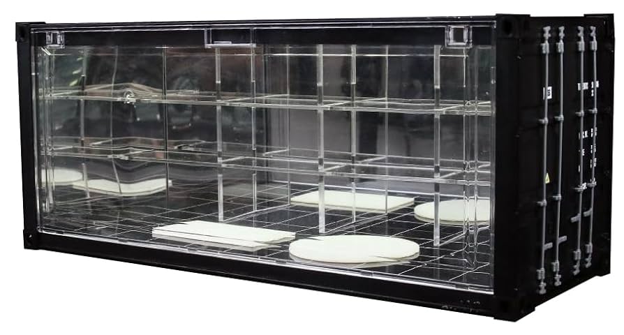 Amazon.co.jp: フリースタイル (FREESTYLE) MoreArt 1/64