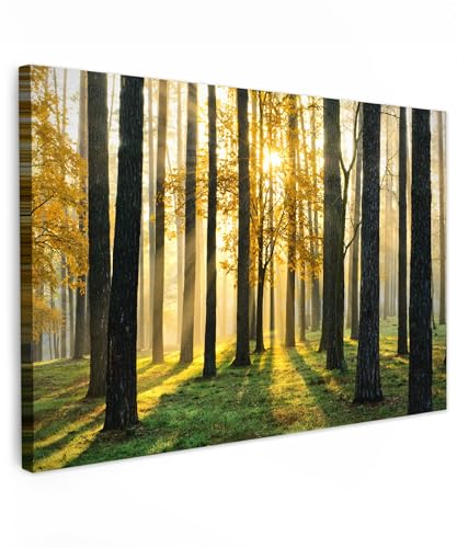 MuchoWow© Cuadros Decoracion Salon Modernos 120x80 cm Lienzos de Fotos Pared Wall Art Lienzo Decoração Cuadro de salones Bosque - Sol - Árbol - Hierba - Paisaje - Naturaleza