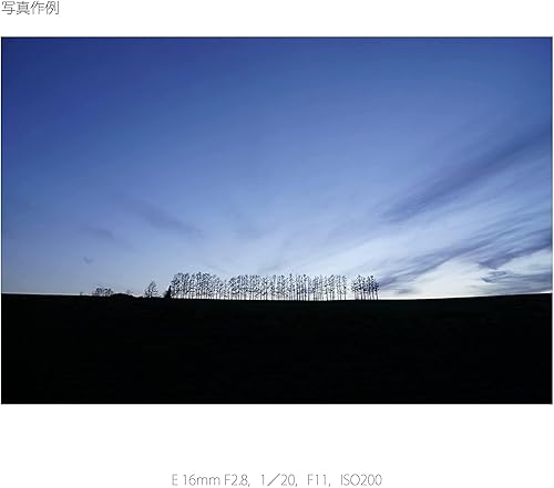 Miniatura 10 de Sony Lente fija Alpha de 0.630 in F2.8 gran angular E-Mount para NEX-5 NEX-3  SEL16F28 - Versión internacional (sin garantía)