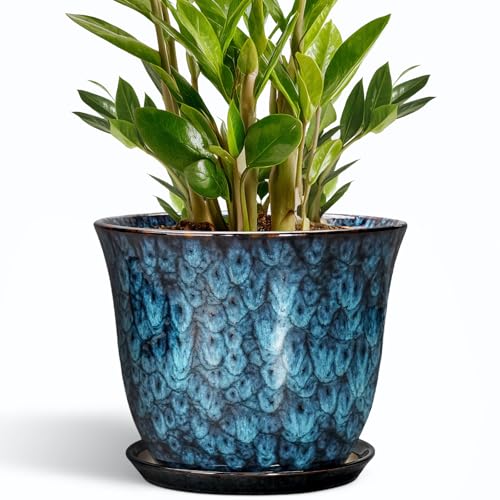SUNPOTFOR 10 Inch Plant Pot - Ceramic Planter with Drainage Hole and Saucer, Round Flower Pots for Indoor Outdoor, Modern Decorative Planter for Plants, Home Office Decor, Plant Lover Gifts, Blue
